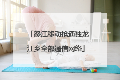 怒江移动抢通独龙江乡全部通信网络