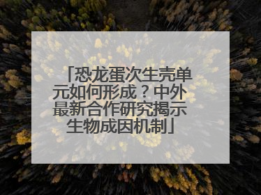 恐龙蛋次生壳单元如何形成？中外最新合作研究揭示生物成因机制