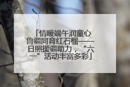 情暖端午润童心 鲁疆同育红石榴——日照援疆助力，“六一”活动丰富多彩