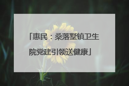 惠民：桑落墅镇卫生院党建引领送健康