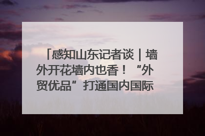 感知山东记者谈｜墙外开花墙内也香！“外贸优品”打通国内国际市场“旋转门”