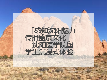 感知沈阳魅力传播盛京文化——沈阳医学院留学生沉浸式体验沈阳文旅特色