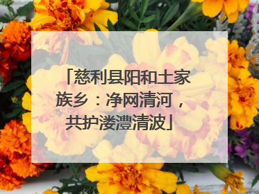 慈利县阳和土家族乡：净网清河，共护溇澧清波