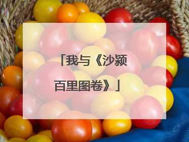 我与《沙颍百里图卷》