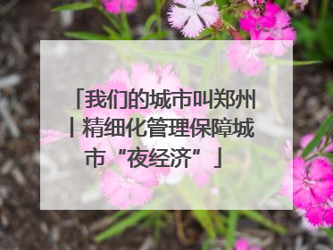 我们的城市叫郑州丨精细化管理保障城市“夜经济”