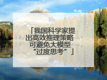 我国科学家提出高效推理策略 可避免大模型“过度思考”