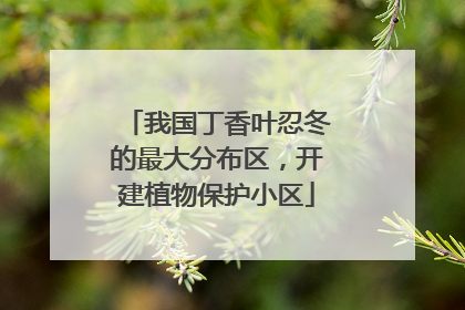 我国丁香叶忍冬的最大分布区，开建植物保护小区