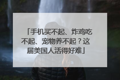 手机买不起、炸鸡吃不起、宠物养不起？这届美国人活得好难