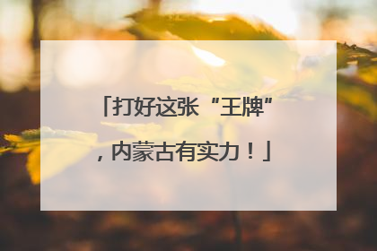 打好这张“王牌”，内蒙古有实力！