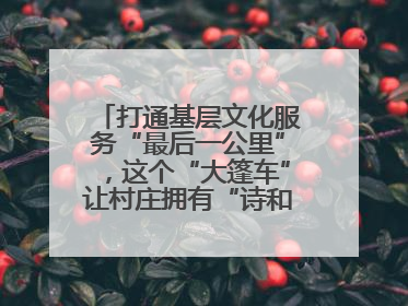 打通基层文化服务“最后一公里”，这个“大篷车”让村庄拥有“诗和远方”