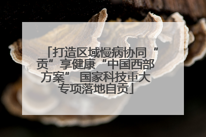 打造区域慢病协同“贡”享健康“中国西部方案” 国家科技重大专项落地自贡
