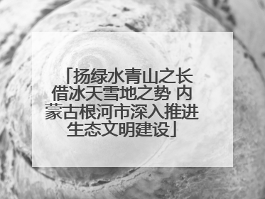 扬绿水青山之长 借冰天雪地之势 内蒙古根河市深入推进生态文明建设