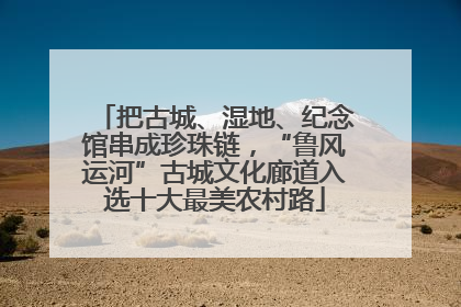 把古城、湿地、纪念馆串成珍珠链，“鲁风运河”古城文化廊道入选十大最美农村路