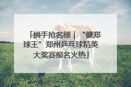 拼手抢名额｜“健郑球王”郑州乒乓球精英大奖赛报名火热