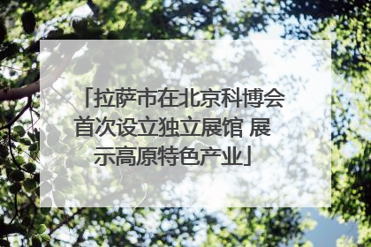拉萨市在北京科博会首次设立独立展馆 展示高原特色产业