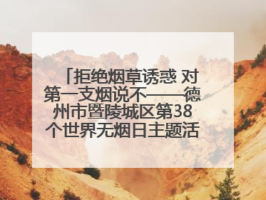 拒绝烟草诱惑 对第一支烟说不——德州市暨陵城区第38个世界无烟日主题活动走进校园