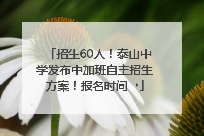 招生60人！泰山中学发布中加班自主招生方案！报名时间→