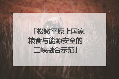 松嫩平原上国家粮食与能源安全的三峡融合示范
