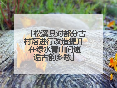 松溪县对部分古村落进行改造提升 在绿水青山间邂逅古韵乡愁