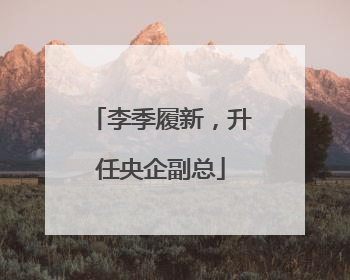 李季履新，升任央企副总