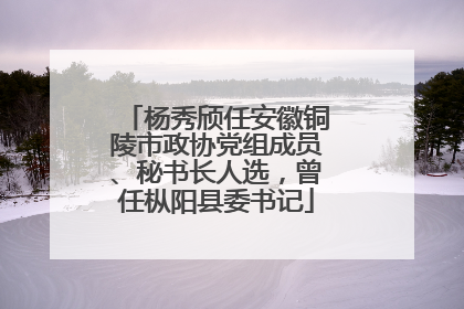 杨秀颀任安徽铜陵市政协党组成员、秘书长人选，曾任枞阳县委书记