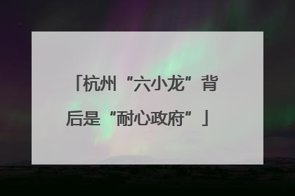 杭州“六小龙”背后是“耐心政府”