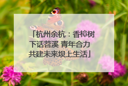 杭州余杭：香樟树下话苕溪 青年合力共建未来坝上生活