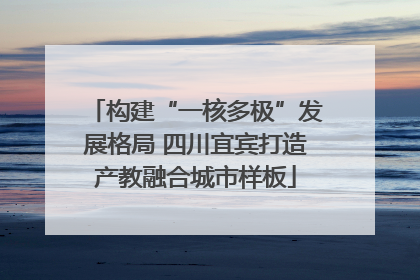 构建“一核多极”发展格局 四川宜宾打造产教融合城市样板