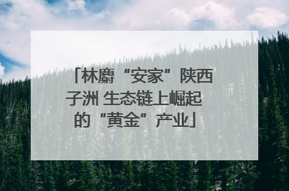 林麝“安家”陕西子洲 生态链上崛起的“黄金”产业