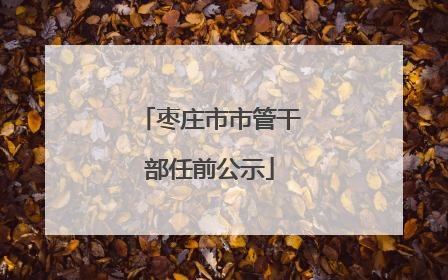 枣庄市市管干部任前公示