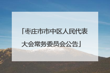 枣庄市市中区人民代表大会常务委员会公告