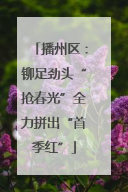 播州区：铆足劲头“抢春光”全力拼出“首季红”