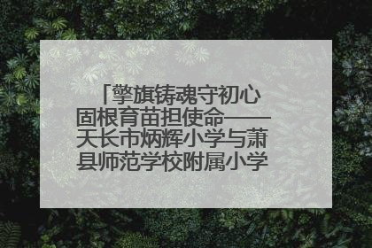 擎旗铸魂守初心 固根育苗担使命——天长市炳辉小学与萧县师范学校附属小学结对共建活动纪实