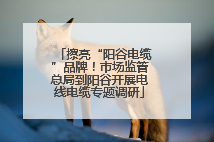 擦亮“阳谷电缆”品牌！市场监管总局到阳谷开展电线电缆专题调研