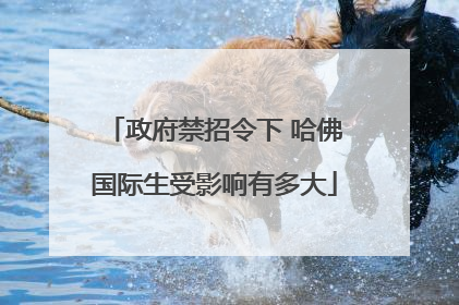 政府禁招令下 哈佛国际生受影响有多大