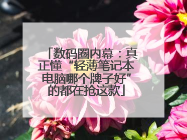 数码圈内幕：真正懂“轻薄笔记本电脑哪个牌子好”的都在抢这款