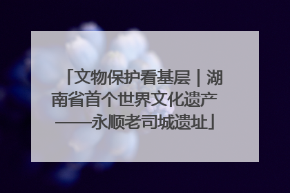 文物保护看基层｜湖南省首个世界文化遗产——永顺老司城遗址