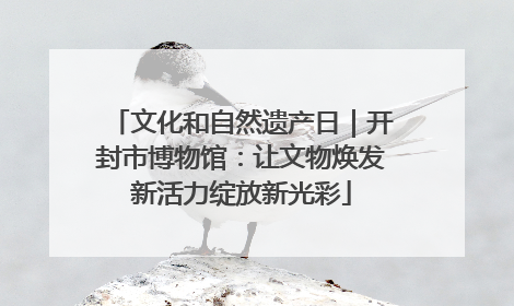 文化和自然遗产日｜开封市博物馆：让文物焕发新活力绽放新光彩