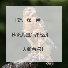 新、深、亲——速览我国海洋经济三大新看点