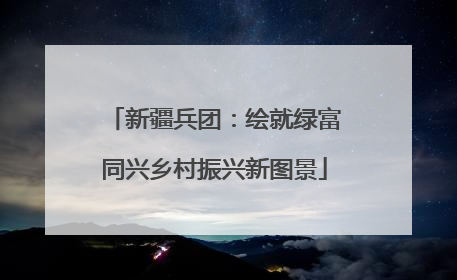 新疆兵团：绘就绿富同兴乡村振兴新图景