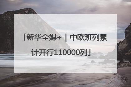 新华全媒+｜中欧班列累计开行110000列