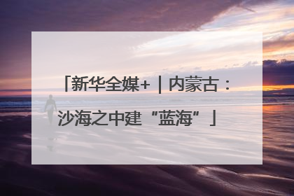 新华全媒+｜内蒙古：沙海之中建“蓝海”