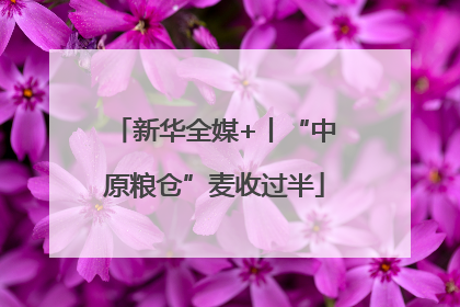 新华全媒+丨“中原粮仓”麦收过半