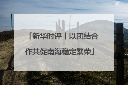 新华时评丨以团结合作共促南海稳定繁荣