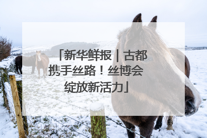 新华鲜报｜古都携手丝路！丝博会绽放新活力