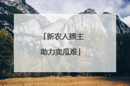 新农人播主 助力卖瓜难