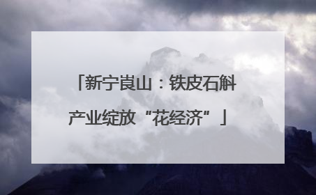 新宁崀山：铁皮石斛产业绽放“花经济”
