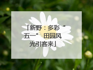 新野：多彩“五一” 田园风光引客来