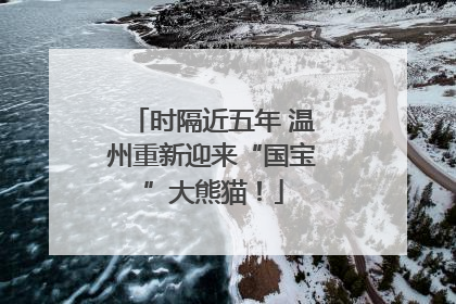 时隔近五年 温州重新迎来“国宝”大熊猫！