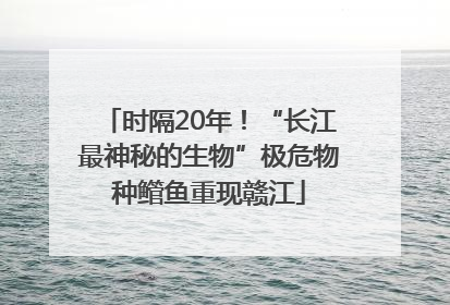 时隔20年！“长江最神秘的生物”极危物种鳤鱼重现赣江